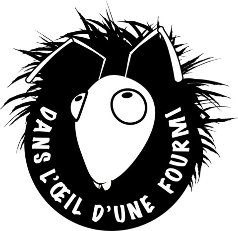 Dans-loeil-dune-fourmi-NOIR-positif