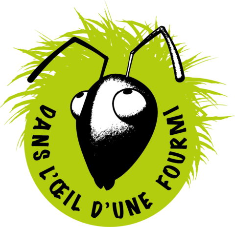 Dans-loeil-dune-fourmi-RVB