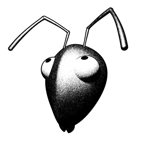 MONTAGE-TETE-FOURMI-3