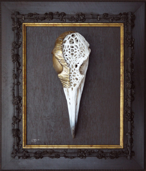Seagull-skull-big-3-web