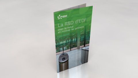 EDF-RD-vue-1