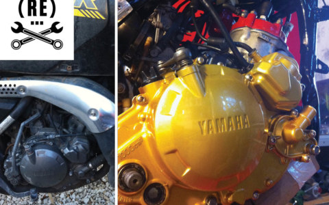 TDR-planche-comparo-1