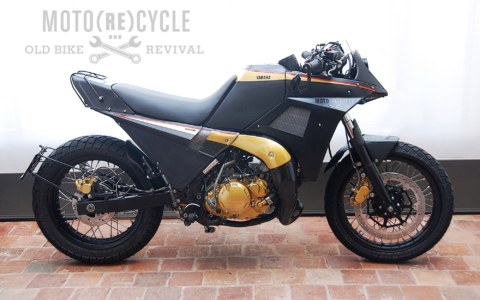 TDR250-profil-final-marquage-web